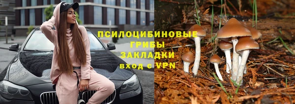 тгк Балахна